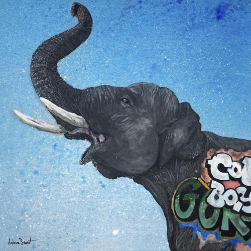 african animals paintings